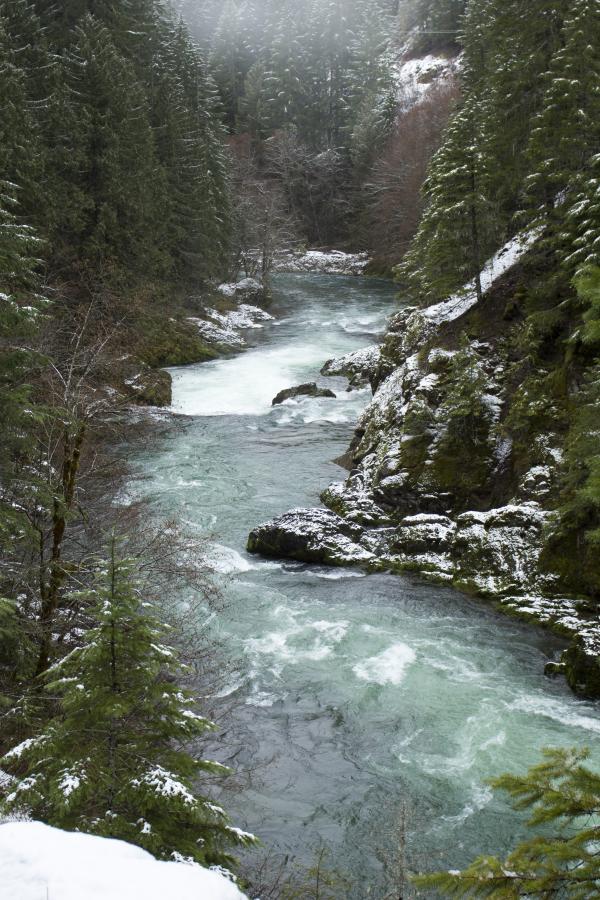 Breitenbush River, Oregon
