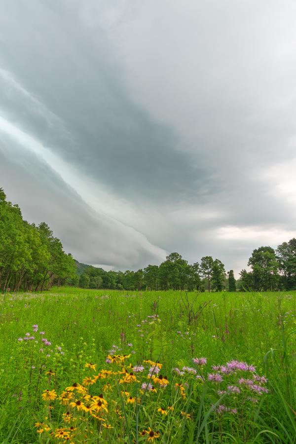 Brewing Summer Storm - HDR