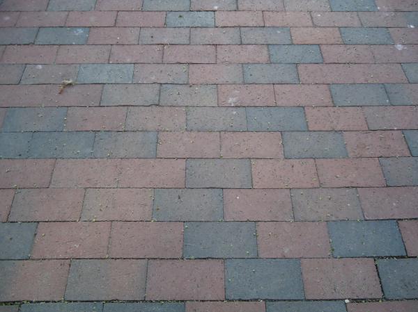 Bricks