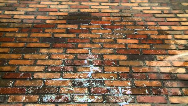 bricks