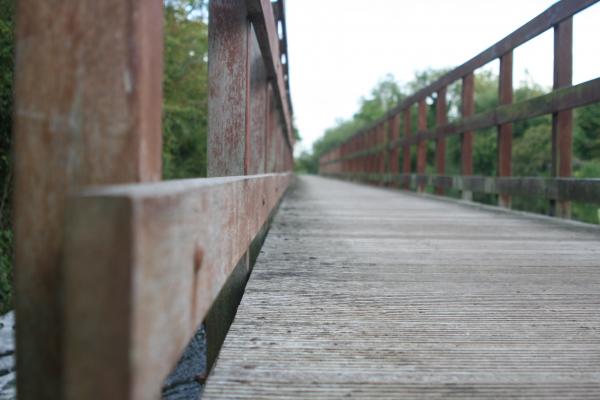 Bridge