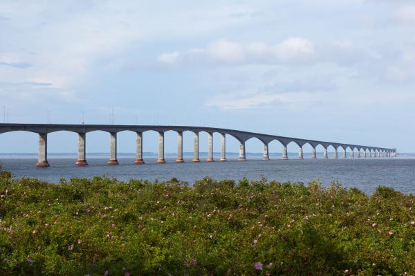 Bridge