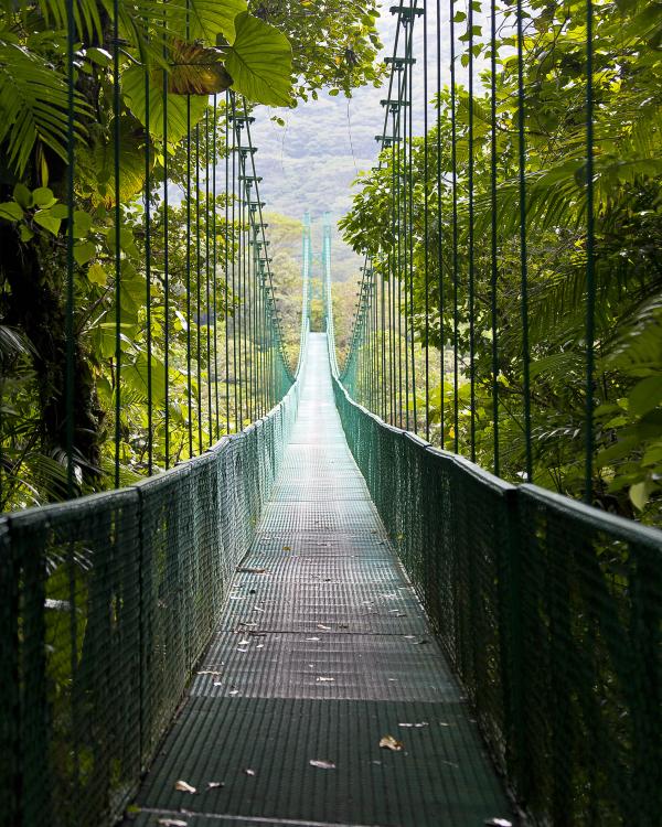 Bridge