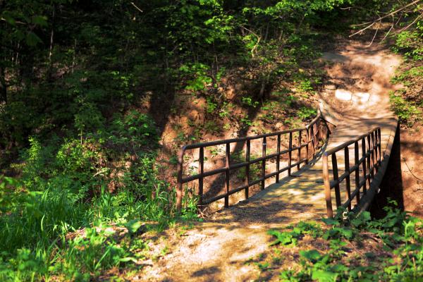 Bridge