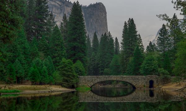 Bridge