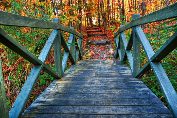Bridge to Fall - HDR