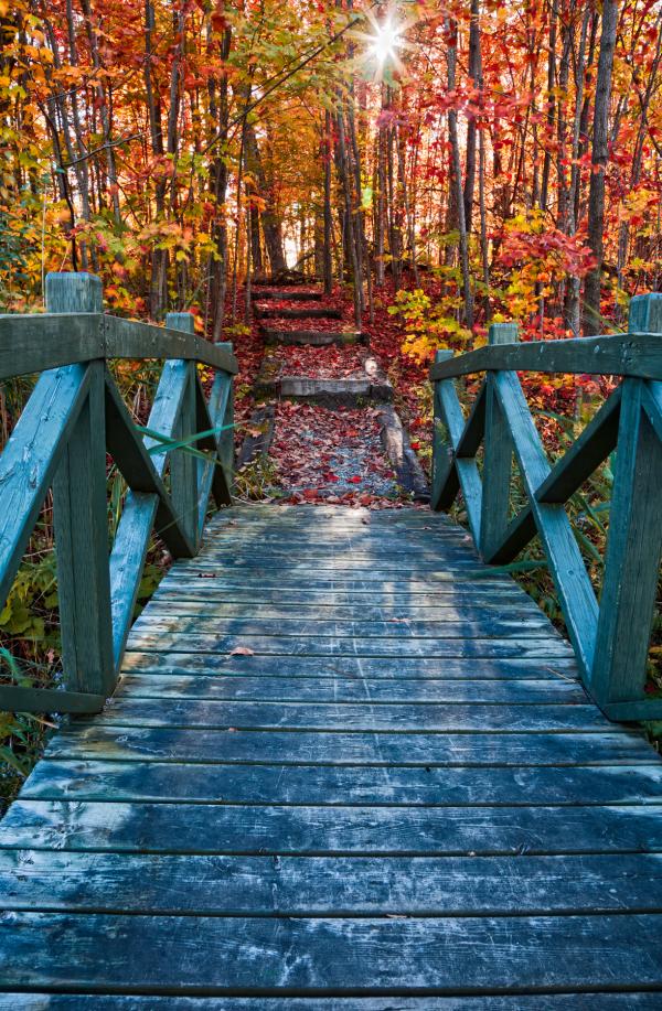 Bridge to Fall