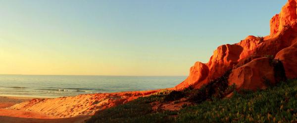 Bright sandstone coastal cliffs