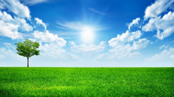 Bright sunny day