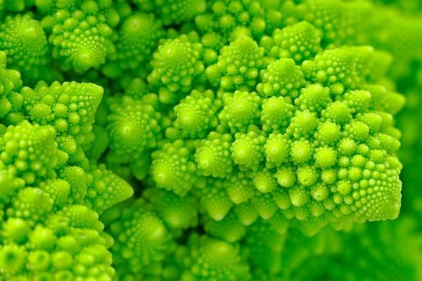 Broccosaurus - HDR Macro