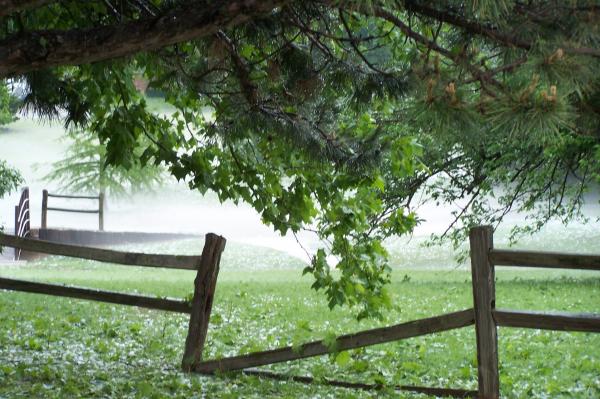 Broken fence in Fog