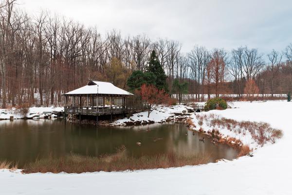 Brookside Winter Spring Gardens