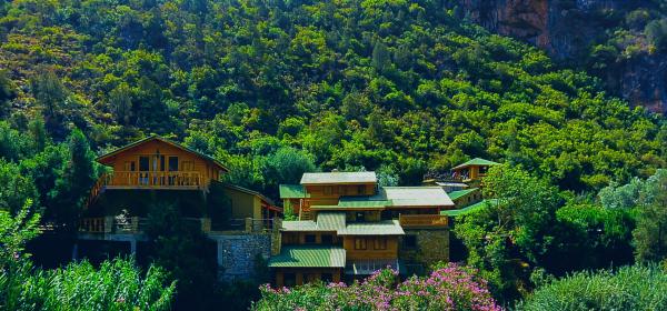 Brown and Green House in Mountain during Daytime