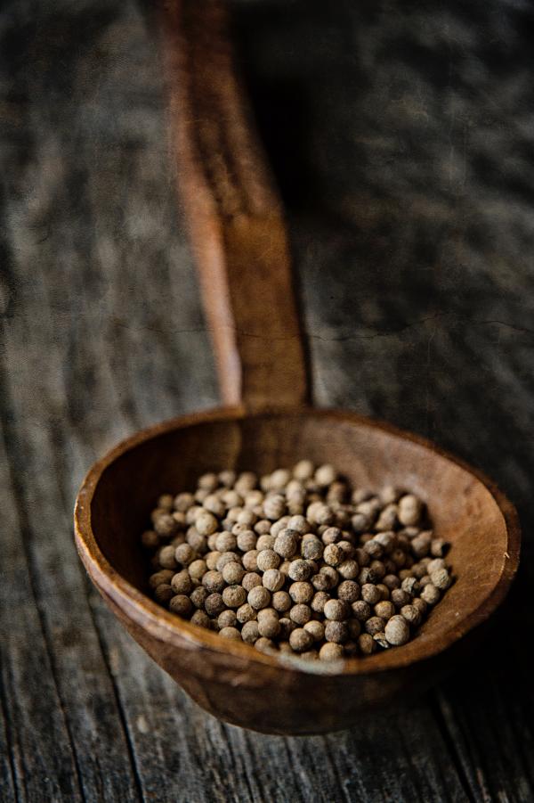 Brown Beans on a Brown Wooden Spoon