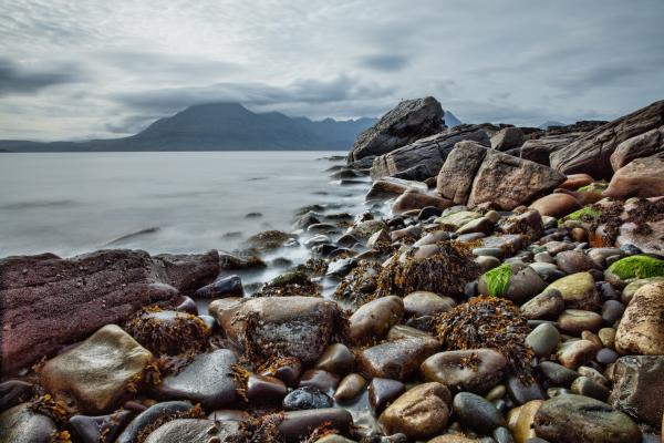 Brown Black and Gray Rocks Near the Shore