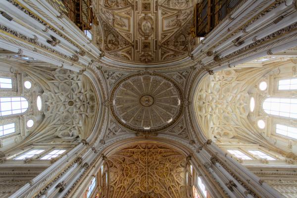 Brown Ceiling Ornate Painting