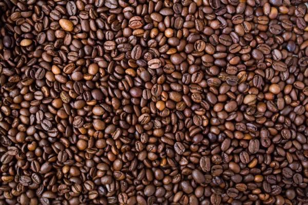 Brown Cocoa