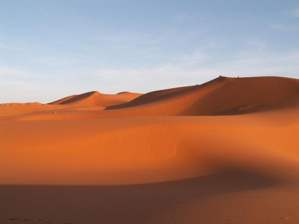 Brown Desert
