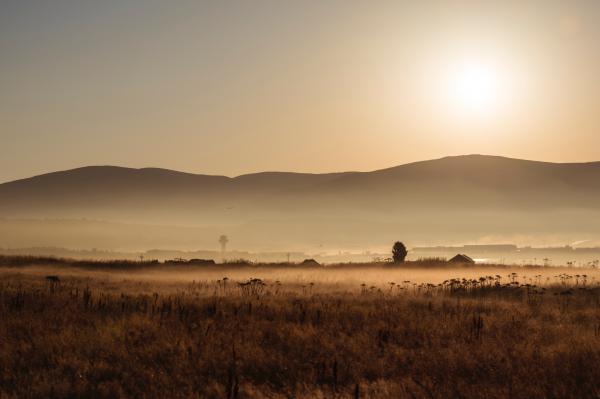 Brown Field during Sunset