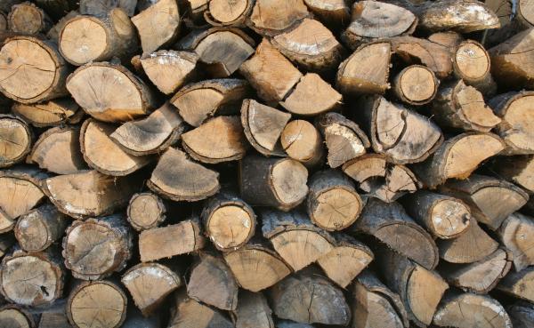 Fire Wood