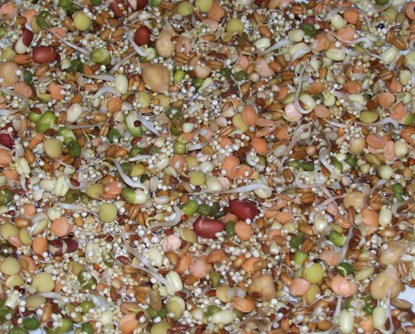 Brown grain petals