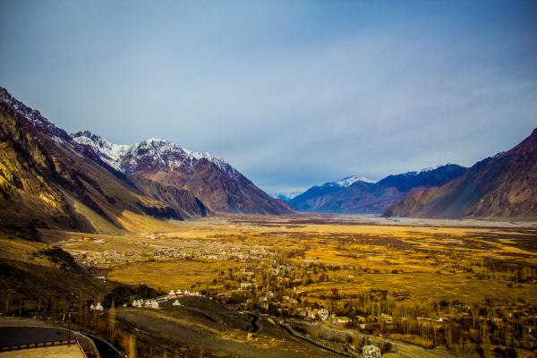 Brown Leaf Plant Near Mountain Under White Clouds at Daytime