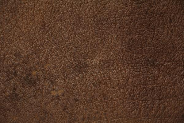 Brown Leather Texture