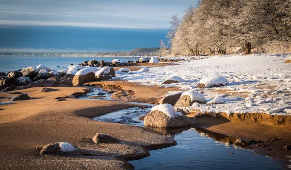 Brown Stone on Ocean