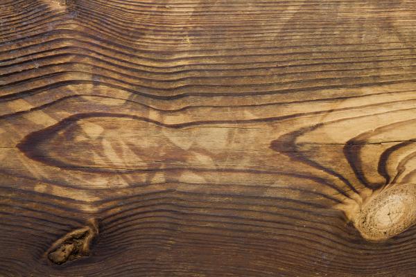 Wooden Texture