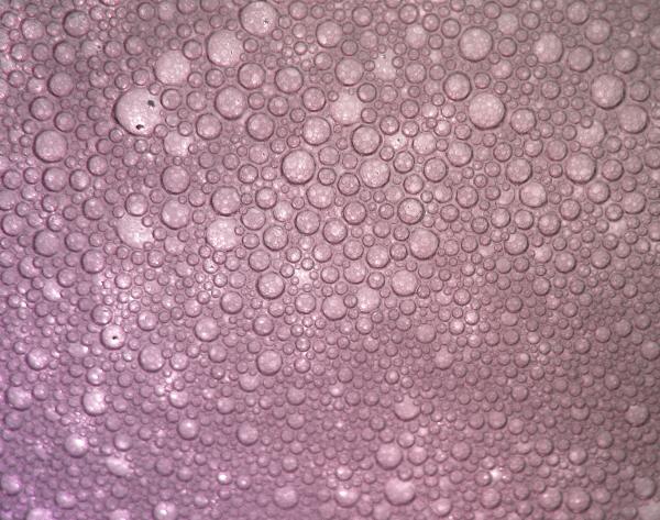 Bubbles Texture