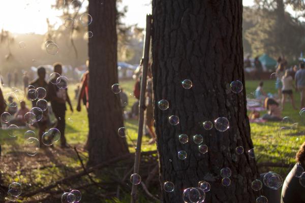 Bubbles in the Park
