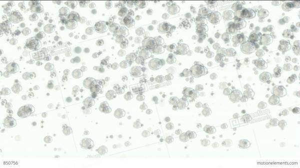 Bubbles Texture