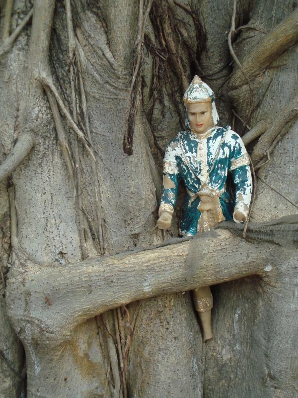 Buddhist Icon in a Tree