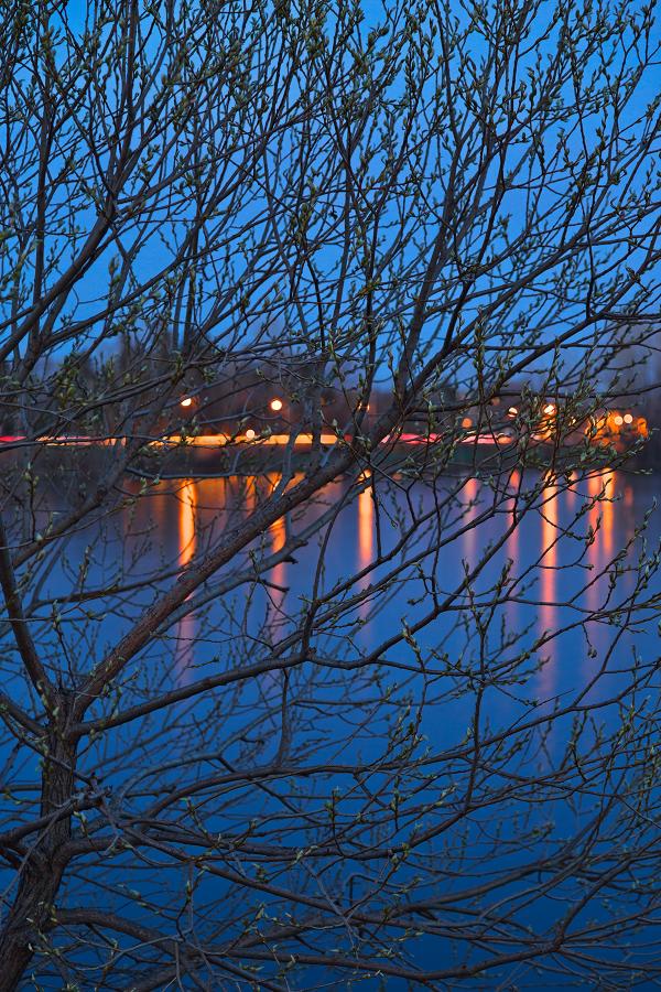Budding Twilight Spring - HDR