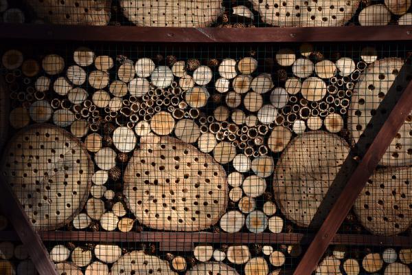 Bug house