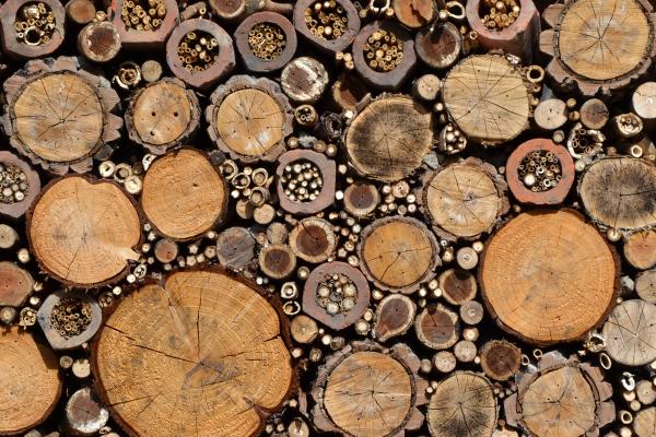Bug house