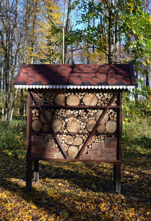 Bug house