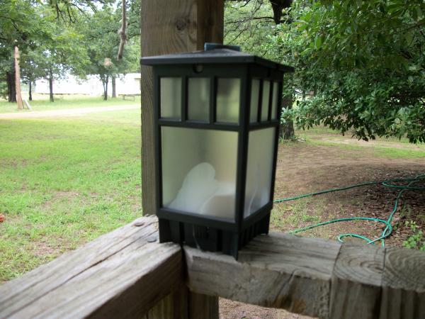 Bug Light