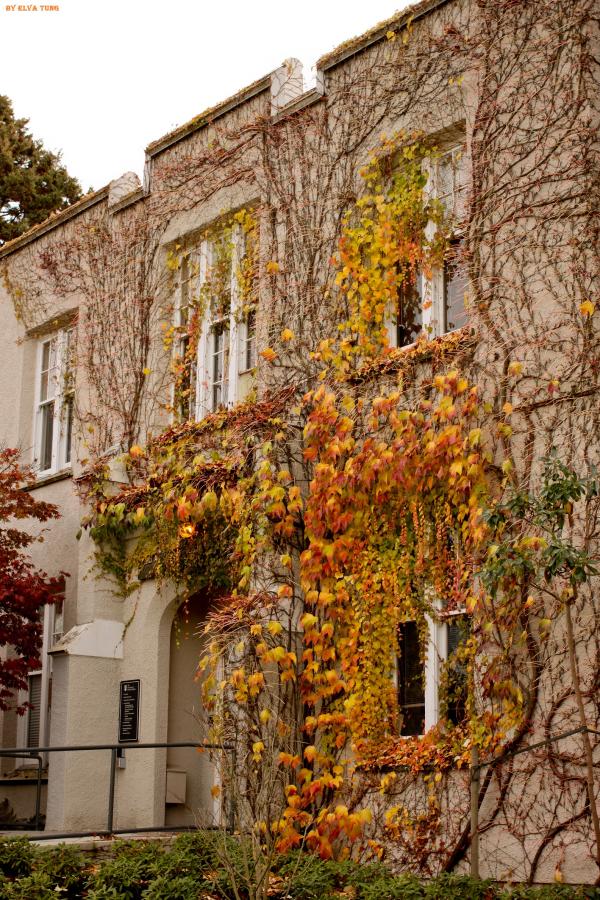 Building in Autumn