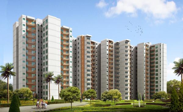 Building project