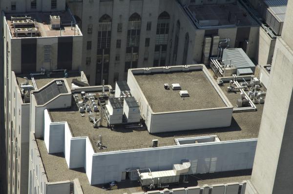Building's roof