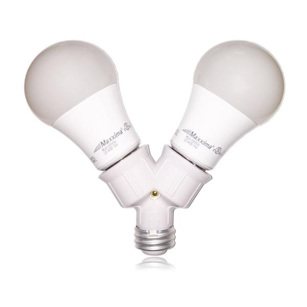 Bulb