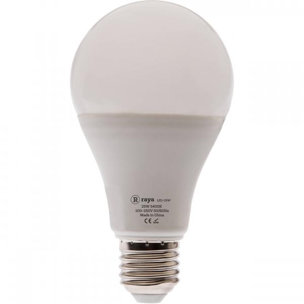 Bulb