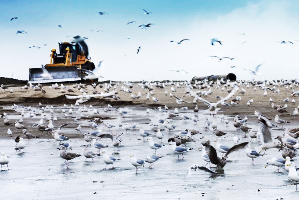 Bulldozer on the beach