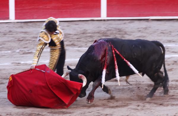 Bullfighting