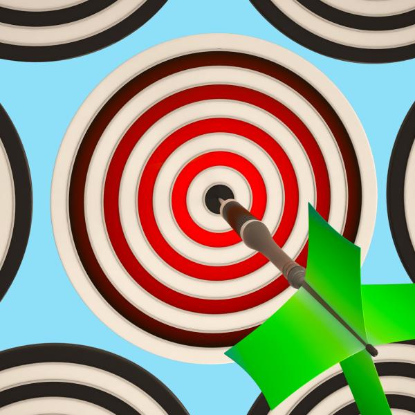 Bulls eye Target Shows Focused Successful Aim