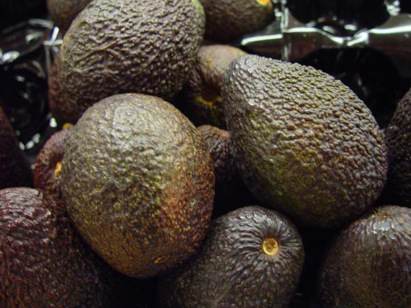 Bunch of Avocados
