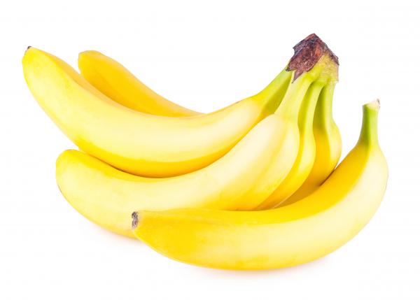 Bunch of bananas isolated on white
