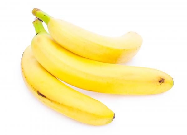 Bunch of bananas isolated on white backg