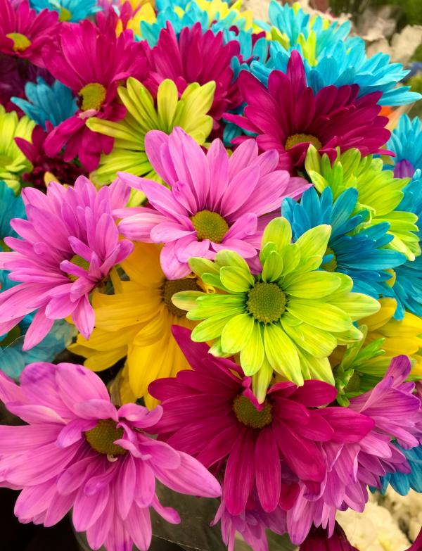 Bunch of flowers